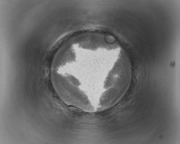 X0000112091206200909151128