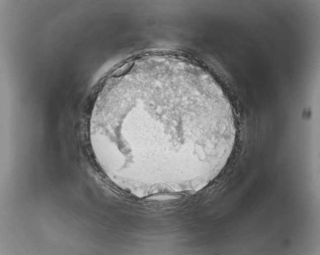 X0000112091208200909151128