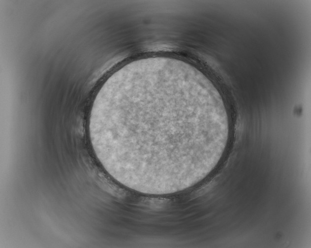 X0000112091209200909151128
