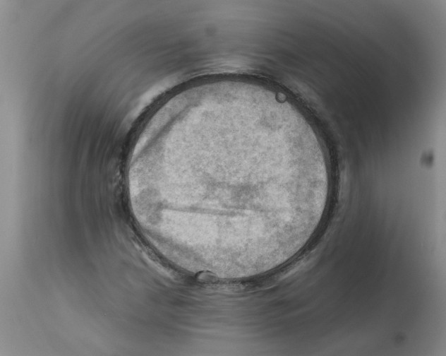X0000112091210200909151128