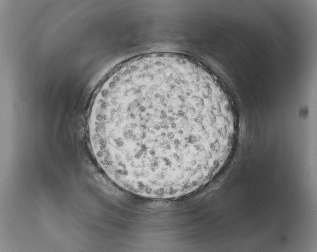 X0000112091212200909151128
