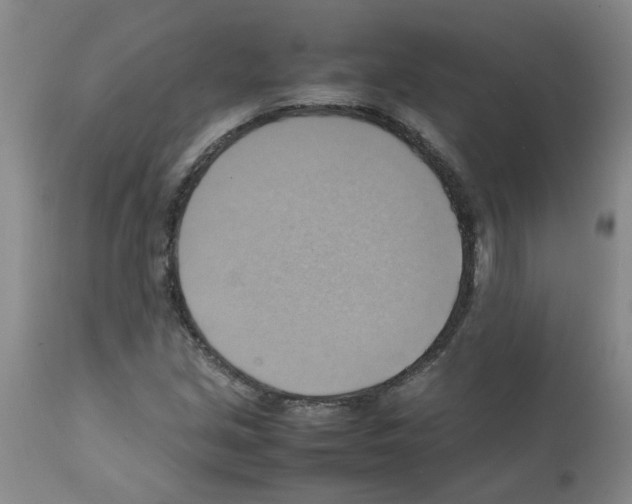 X0000112091213200909151128