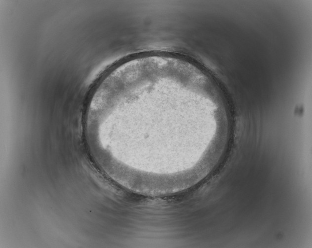 X0000112091214200909151128