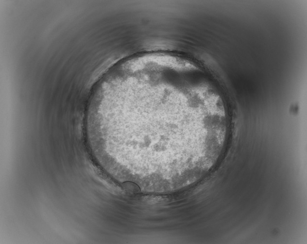 X0000112091217200909151129