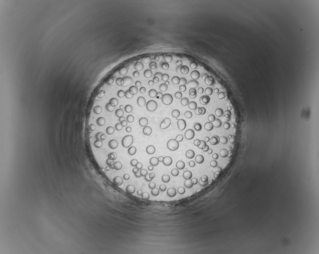 X0000112091220200909151129