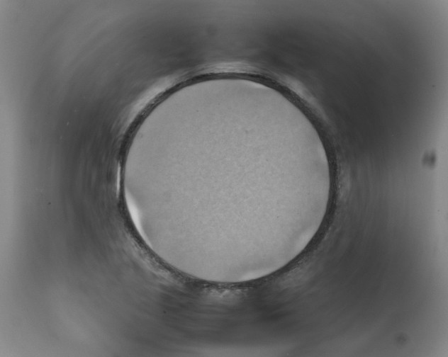 X0000112091221200909151129