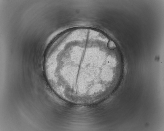 X0000112091222200909151129
