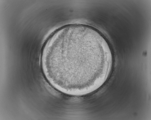 X0000112091224200909151129