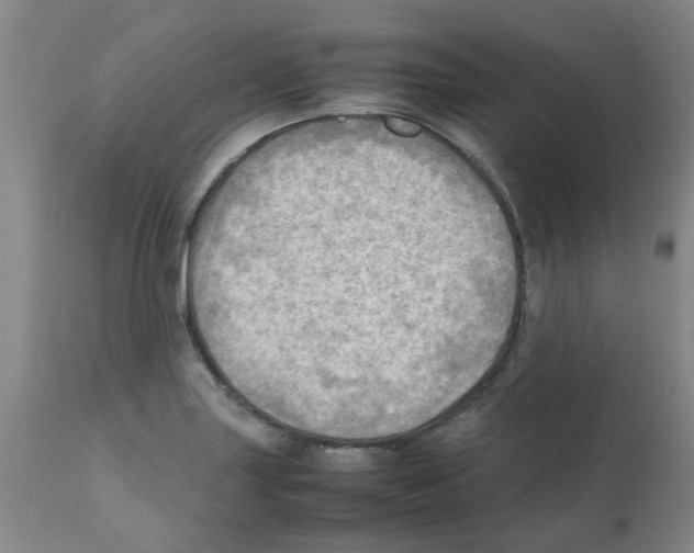 X0000112091227200909151129