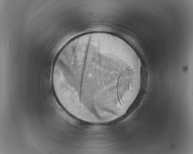 X0000112091228200909151129