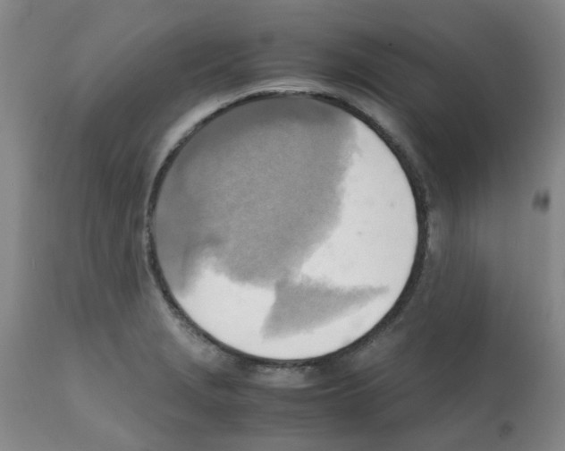 X0000112091229200909151129