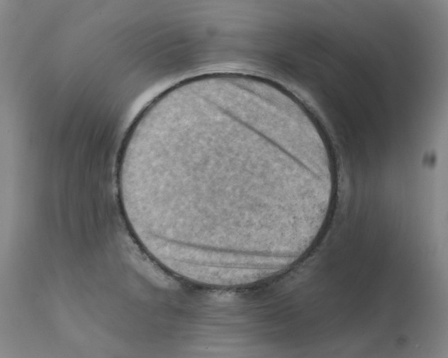 X0000112091230200909151129