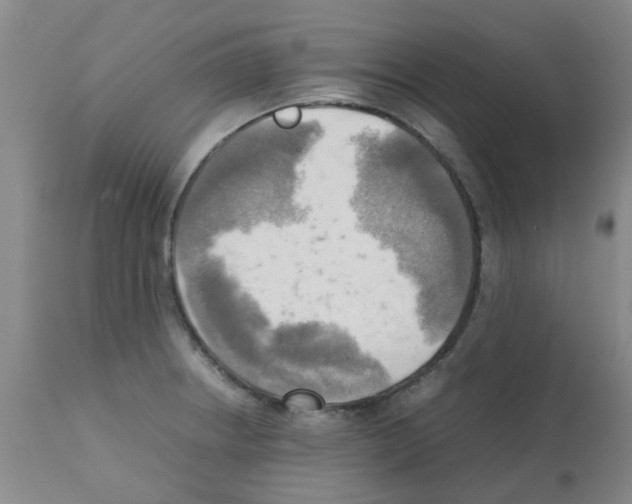 X0000112091234200909151129