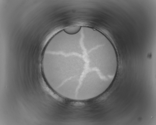 X0000112091235200909151129