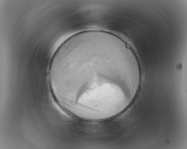 X0000112091239200909151129