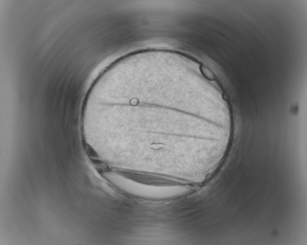 X0000112091240200909151129