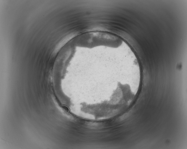 X0000112091241200909151129