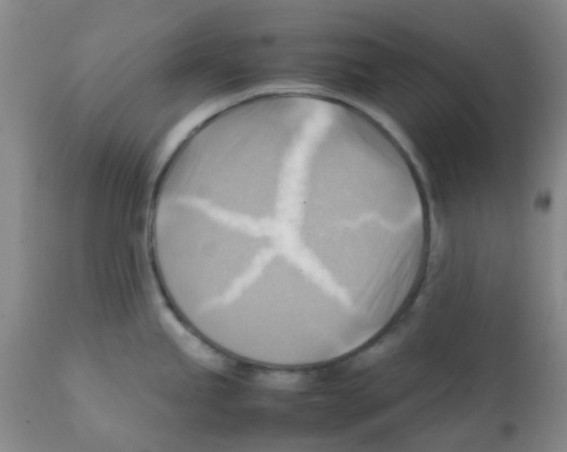X0000112091245200909151129