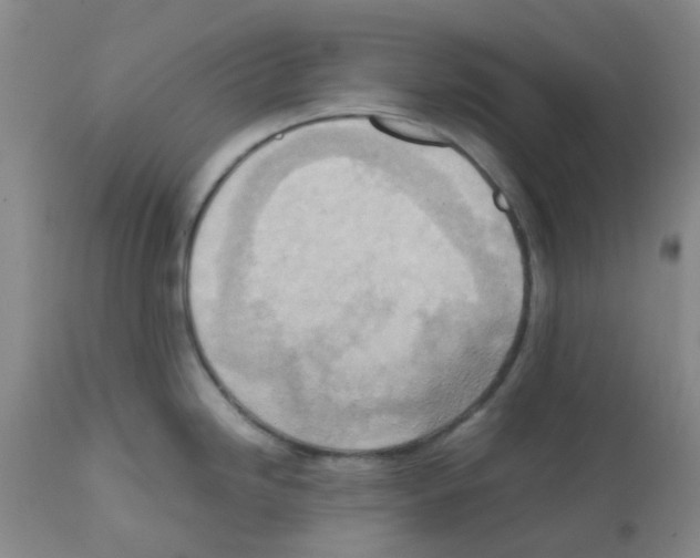 X0000112091246200909151129