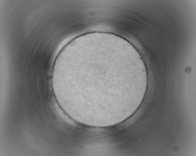 X0000112091248200909151129