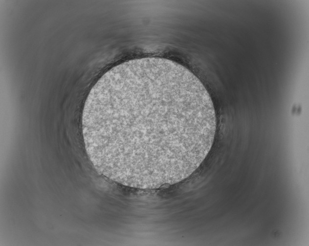 X0000112091249200909151128
