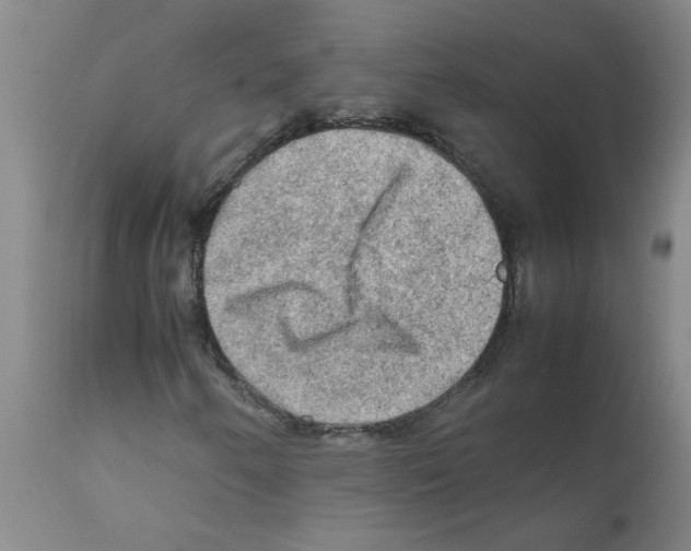 X0000112091250200909151128