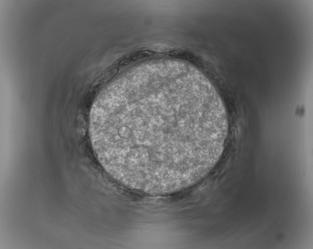X0000112091253200909151128