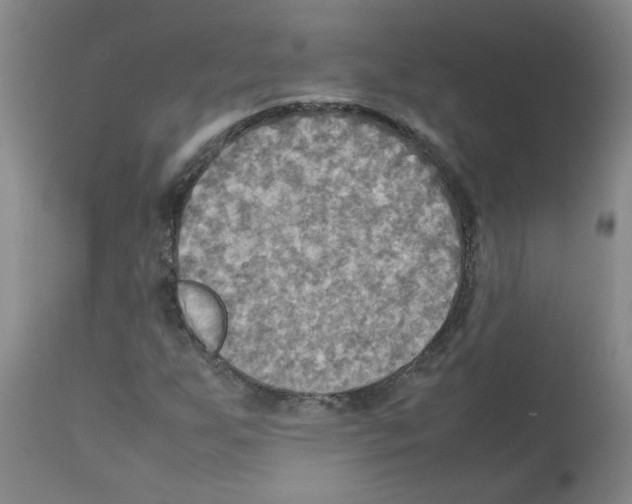 X0000112091255200909151128