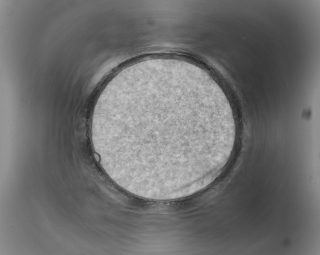 X0000112091259200909151128