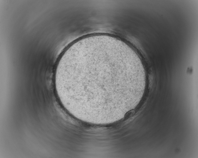 X0000112091260200909151128