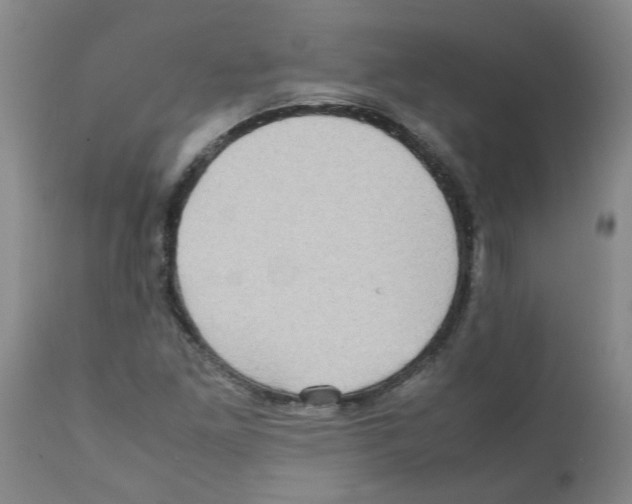 X0000112091261200909151128