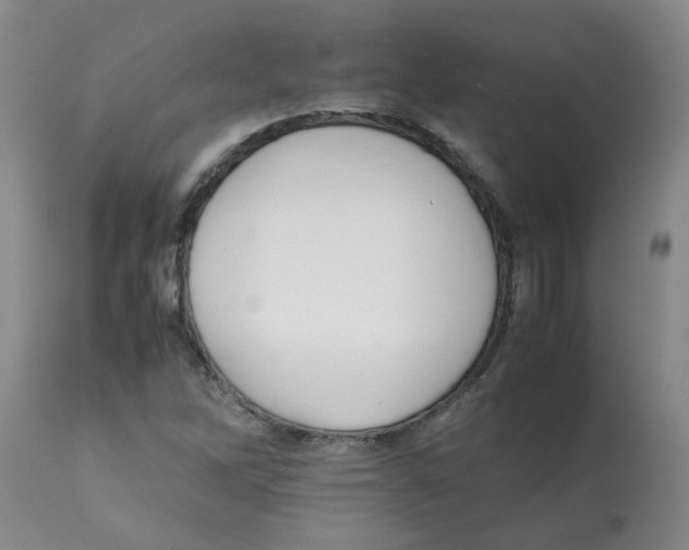 X0000112091262200909151128