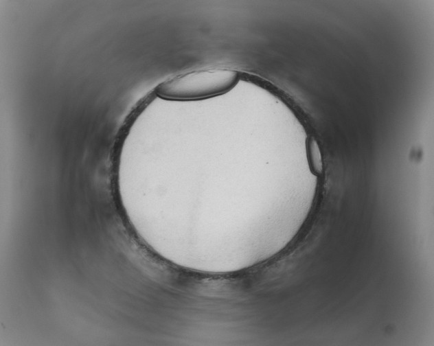 X0000112091264200909151128
