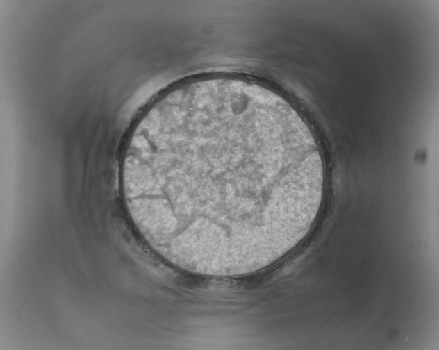 X0000112091267200909151128