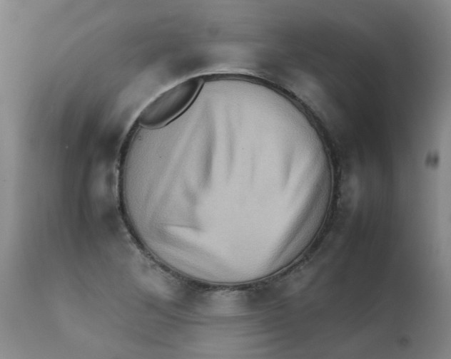X0000112091268200909151128