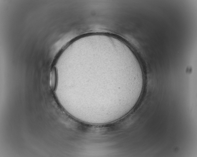 X0000112091269200909151128
