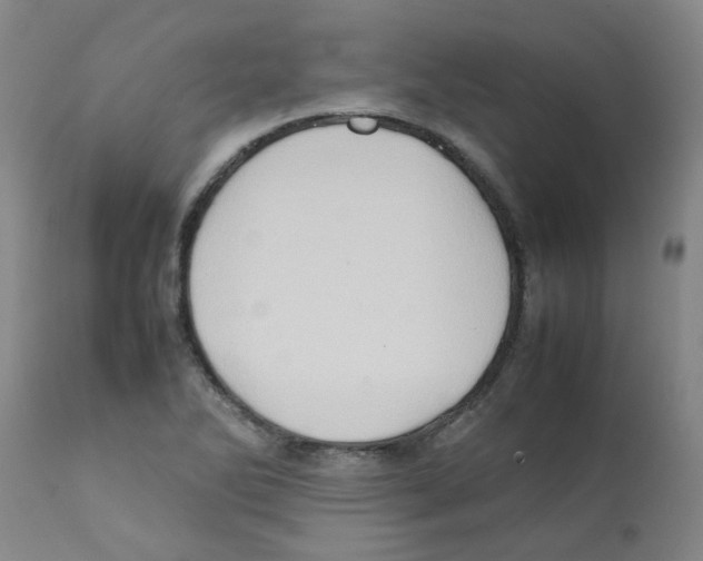 X0000112091270200909151128