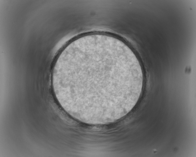 X0000112091271200909151128