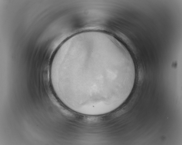 X0000112091274200909151128