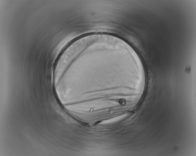 X0000112091275200909151128