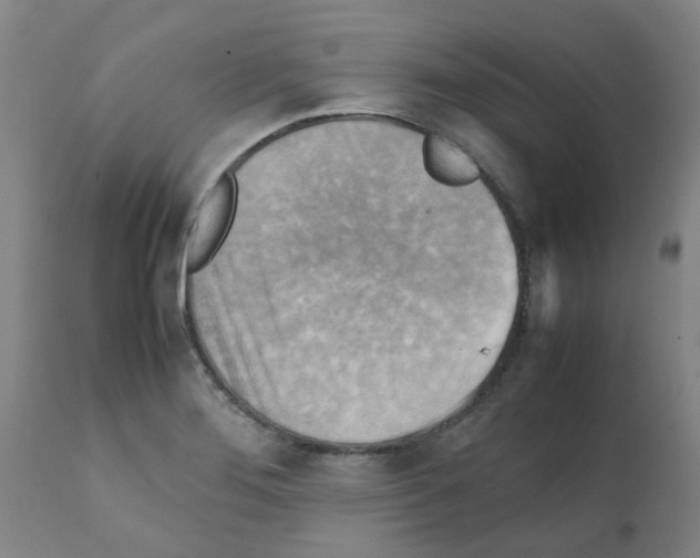 X0000112091276200909151128
