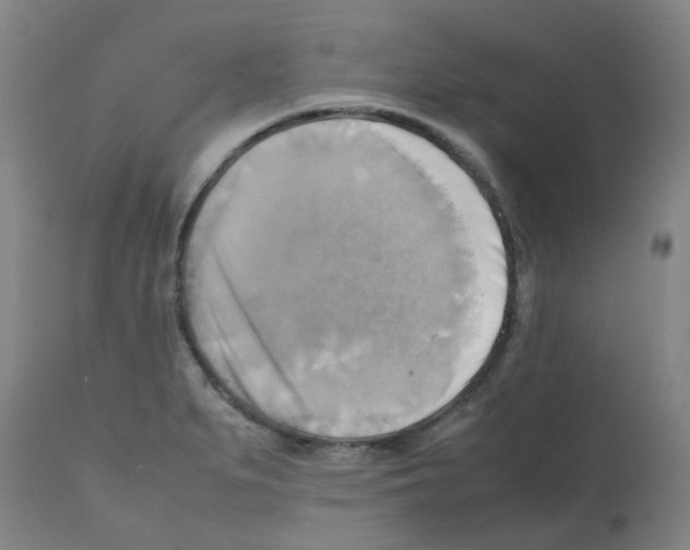 X0000112091279200909151128