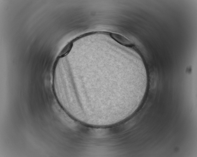 X0000112091280200909151128