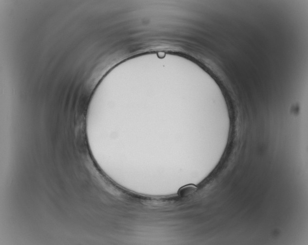 X0000112091281200909151128