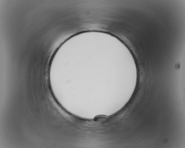 X0000112091285200909151128