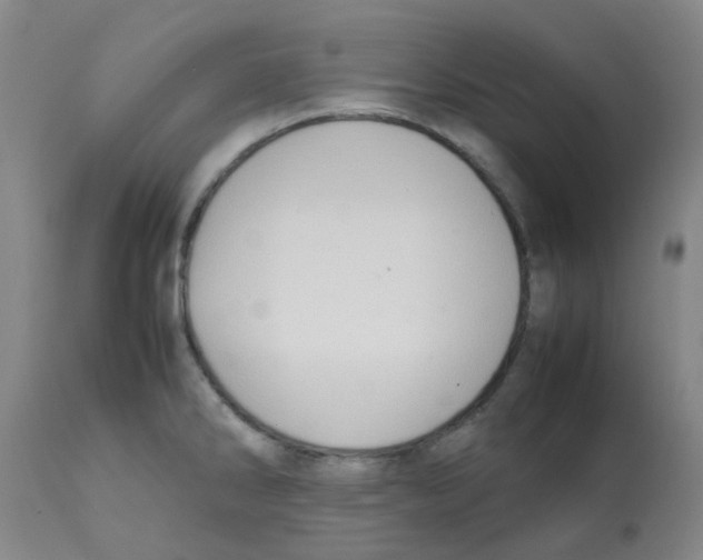 X0000112091286200909151128