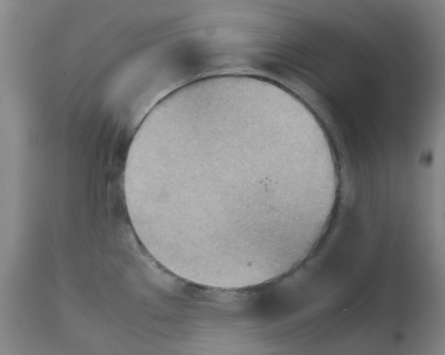 X0000112091289200909151128