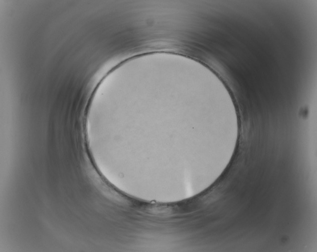 X0000112091291200909151128