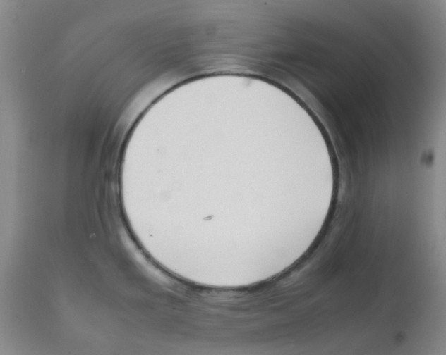 X0000112091293200909151128