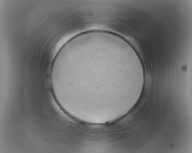 X0000112091295200909151128